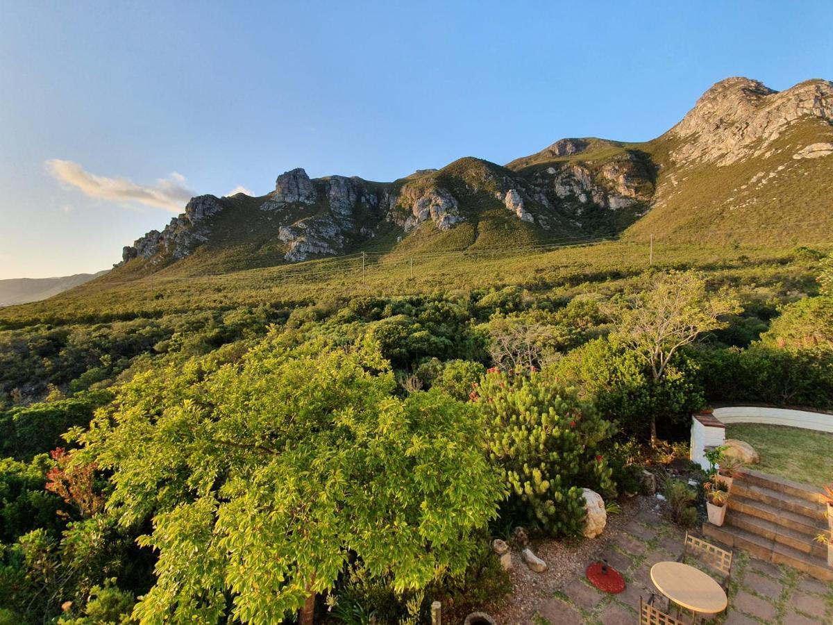 Francolinhof Guest House Hermanus Luaran gambar